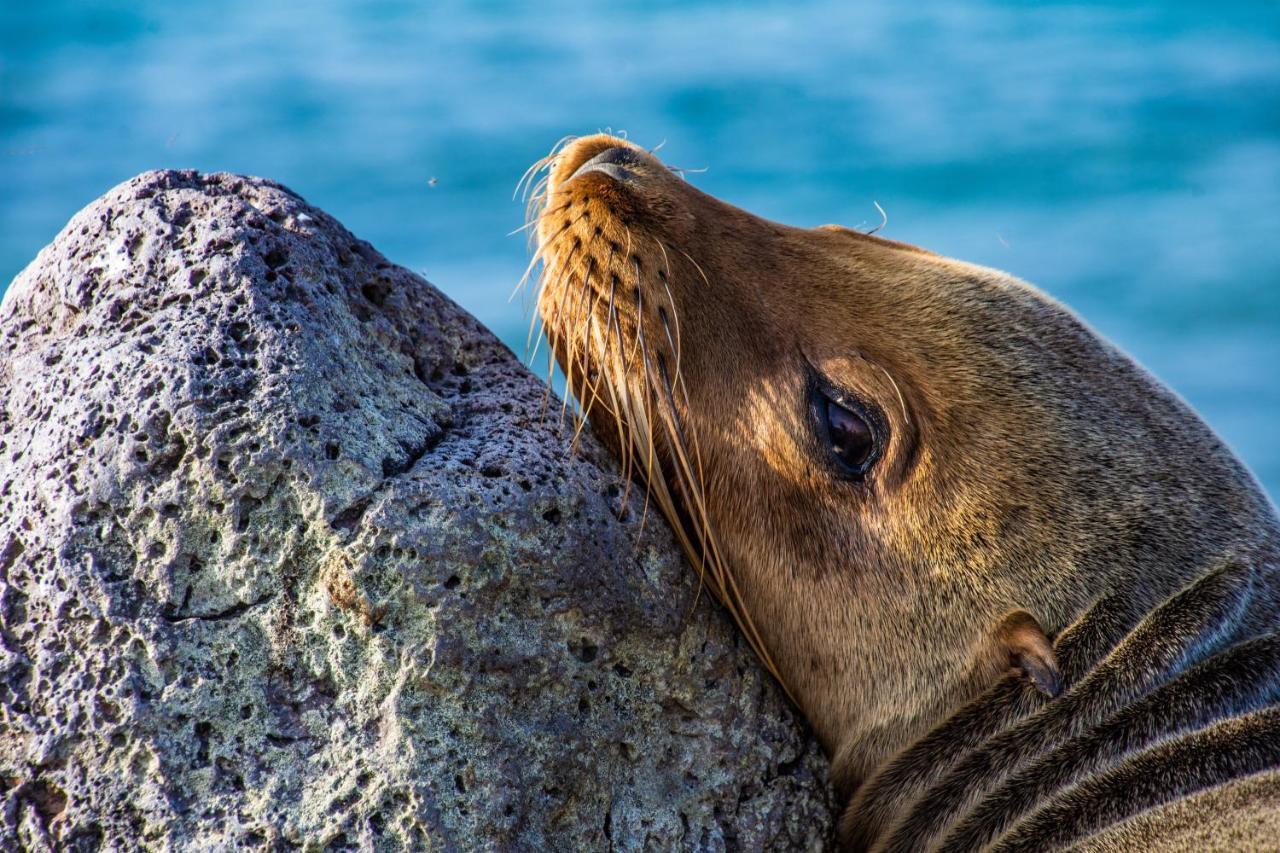 Finch Bay Galapagos Hotel Puerto Ayora  Ngoại thất bức ảnh