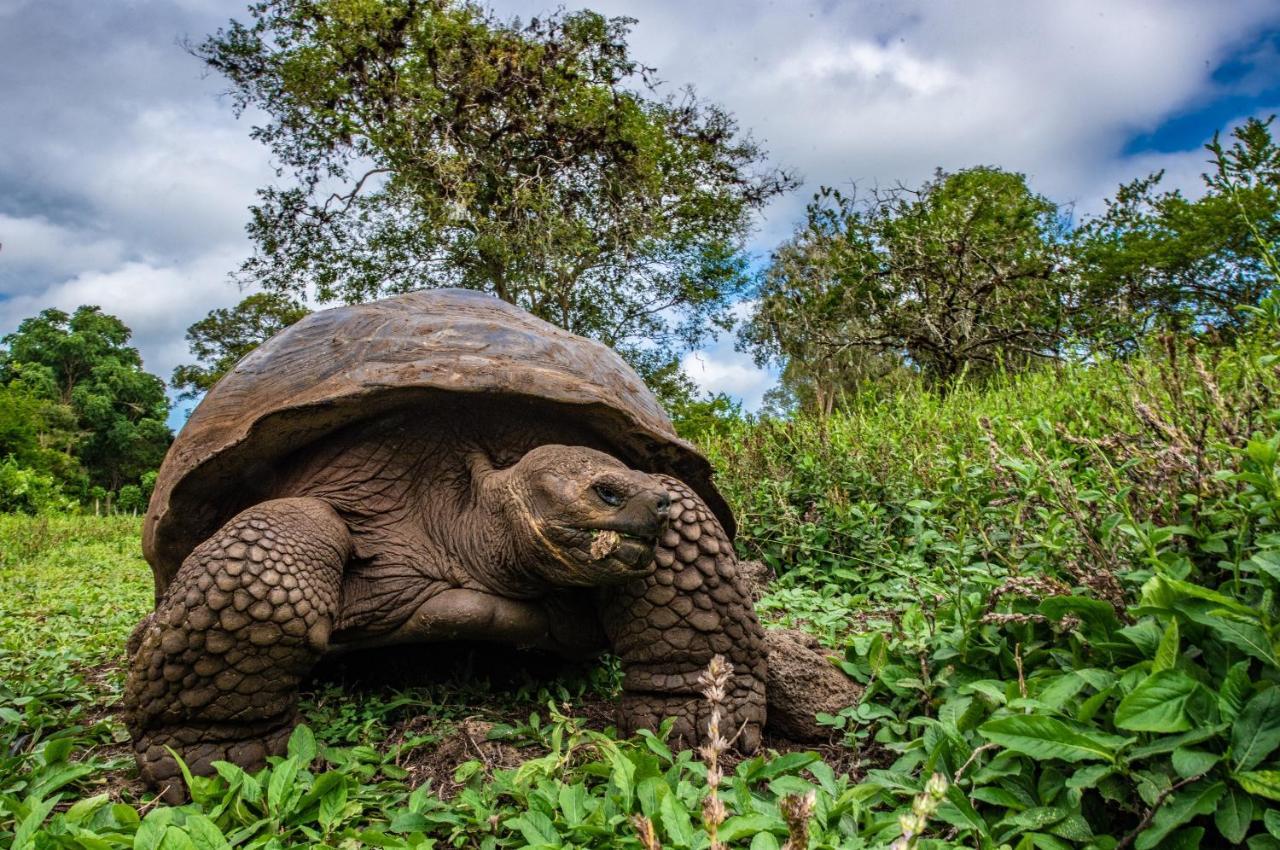 Finch Bay Galapagos Hotel Puerto Ayora  Ngoại thất bức ảnh